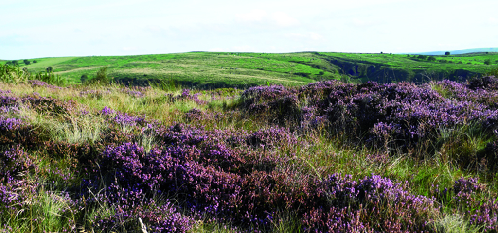 Elkstones - A small village in the Staffordshire Moorlands